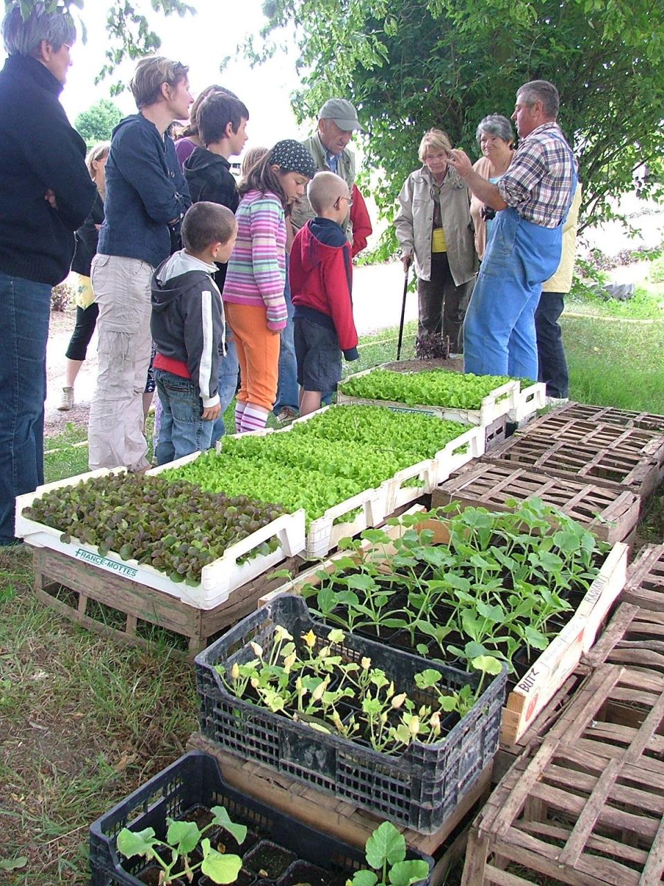 Patrick Noblet et ses plants de légumes : visite du 1er juin 2009.